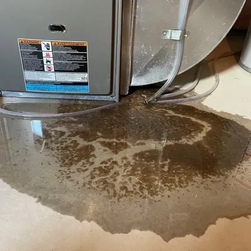 Appliance Leak Cleanup in Bridgeview, IL